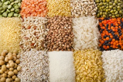 product-jpeg-500x500