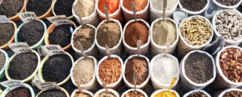 Interior view of Edmonton grocery store with organic produce display